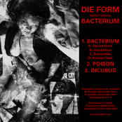 Bacterium