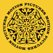 All We Have Is Everyone