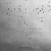 Cloaks of Perception