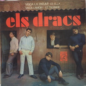 els dracs