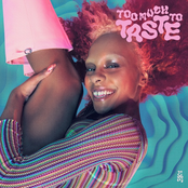 Too Much to Taste - Single