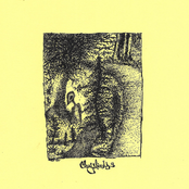 a separation from vanity