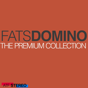 There Goes My Heart Again van Fats Domino