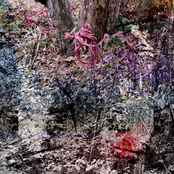 #W1tchingHour, Vol. 1