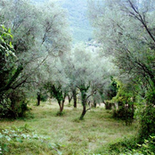 The  Theatre Project