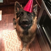 i wish you still loved me