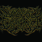 Forever Committed To Evil