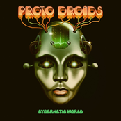 Cybernetic World [Vinyl]