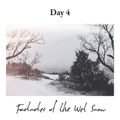 Footnotes of the Wet Snow