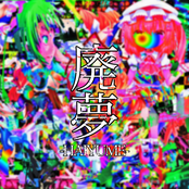 THE HAIYUME ALBUM