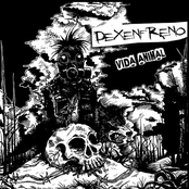 VIDA ANIMAL (EDICION OFICIAL)