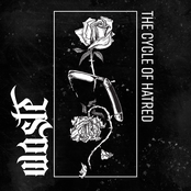 Waste: The Cycle Of Hatred