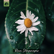 Rain Sleepscapes