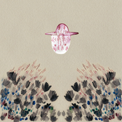 Devendra Banhart: Smokey Rolls Down Thunder Canyon