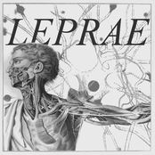 leprae