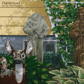 Fiddlehead: Get My Mind Right