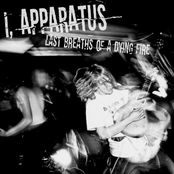 Last Breaths Of A Dying Fire