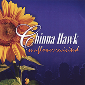 Chinua Hawk: Sunflower Revisited