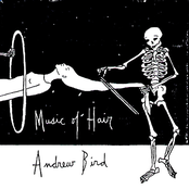 Song Of Foot by Andrew Bird