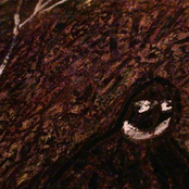 1 + 1 + 1 + 1 + 0 = TIP