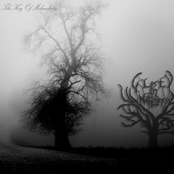 Songs In The Key Of Melancholy