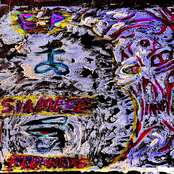 It's Always Prettiest After The Fall