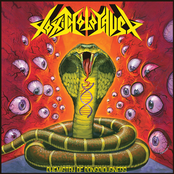 Chemistry Of Consciousness by Toxic Holocaust