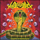 Acid Fuzz by Toxic Holocaust