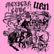 Mexican Coke // Urn SPLIT
