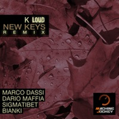 New Keys ( Remix Album )