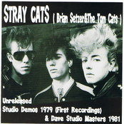 Blue Moon Of Kentucky by Stray Cats
