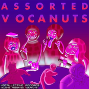 Assorted Vocanuts