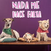 Nada Me Hace Falta - Single