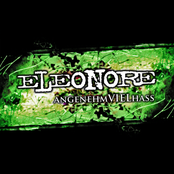 angenehmVIELhass 2009