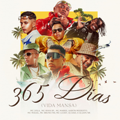 365 Dias (Vida Mansa)
