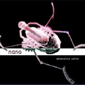 CD11.NANO