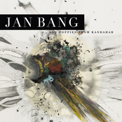 The Drug Mule by Jan Bang