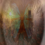 Hundred Million Angels