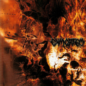 Bonfire Of The Insanities by Exmortem