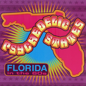 Psychedelic States: Florida In The 60s Vol 1
