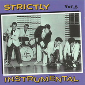 Strictly Instrumental, Vol. 5
