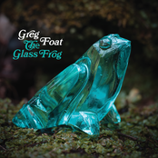 The Glass Frog