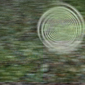 Warp