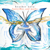 Butterflies and Moths