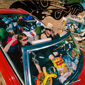 Critter: have safe b fun