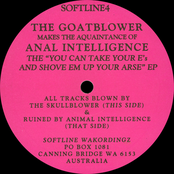 The "You Can Take Your E's And Shove Em Up Your Arse" EP