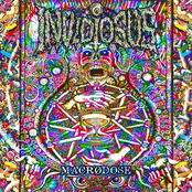 Invidiosus/L.P.P. [Split]