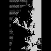 Falter / Milorganaut Split Tape