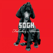 Single Falscher Alarm