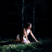 WHERE’S THE LIGHT ?